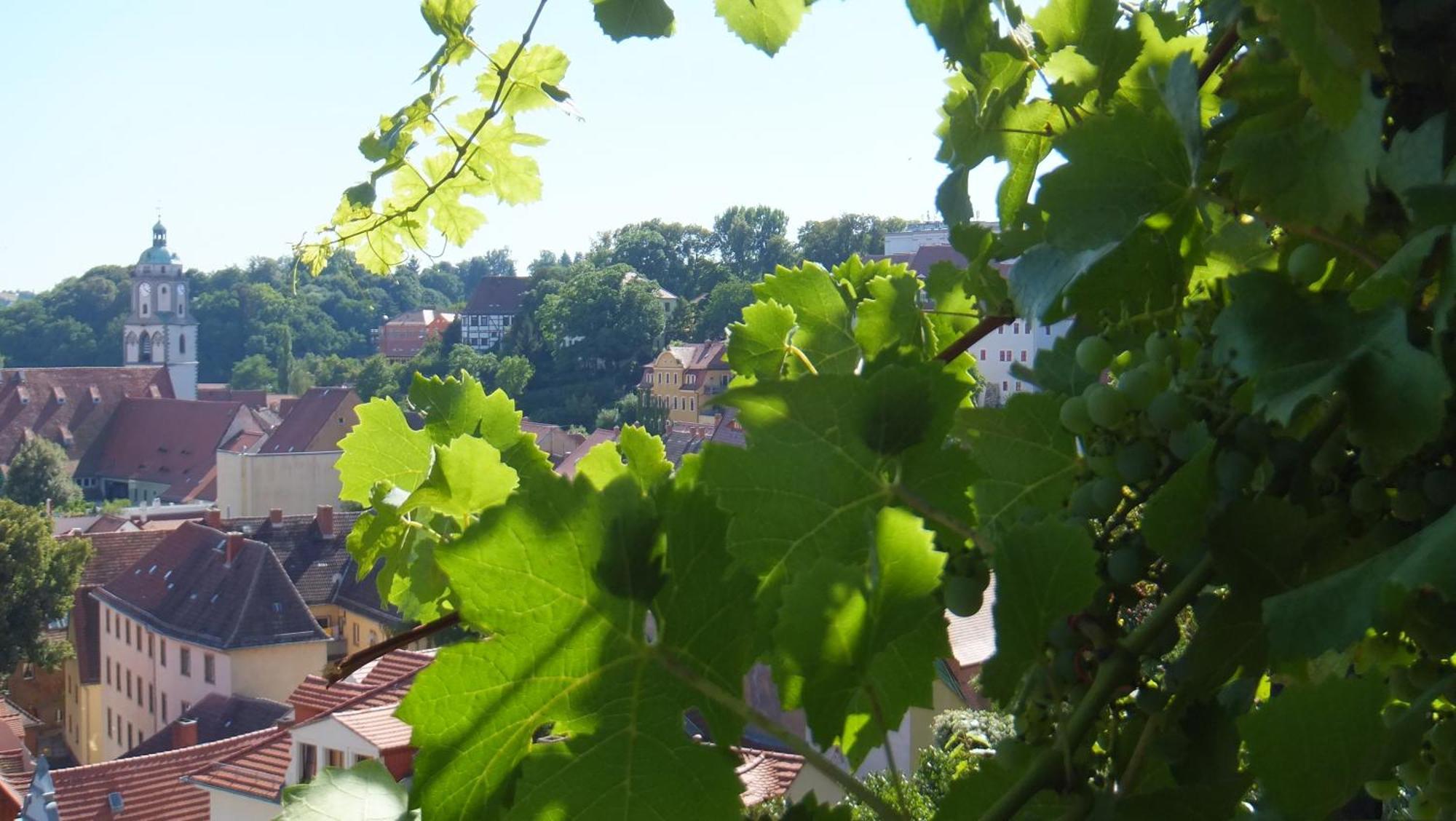 Hotel Schlossberg Meißen 외부 사진